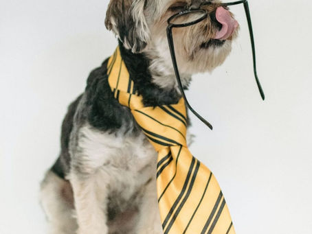 כוחו של הרגל