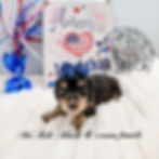 eZy Watermark_16-06-2026_09-27-58-5360PM