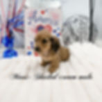 eZy Watermark_16-06-2026_09-21-06-6610PM