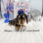 eZy Watermark_16-06-2026_09-20-27-9230PM