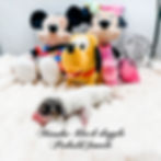 eZy Watermark_07-06-2026_08-48-35-7470PM