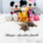 eZy Watermark_07-06-2026_08-54-46-4100PM