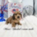 eZy Watermark_16-06-2026_09-21-06-9480PM