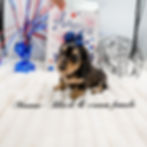 eZy Watermark_16-06-2026_09-20-27-6070PM