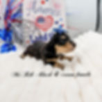 eZy Watermark_16-06-2026_09-27-58-8100PM
