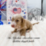 eZy Watermark_16-06-2026_09-27-10-6920PM