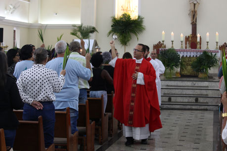 DOMINGO DE RAMOS DE RAMOS 