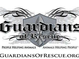 America’s Hidden Animal Crisis: Understanding the Rise in Hoarding and Abandonment
