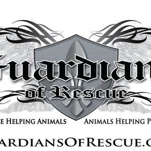 America’s Hidden Animal Crisis: Understanding the Rise in Hoarding and Abandonment