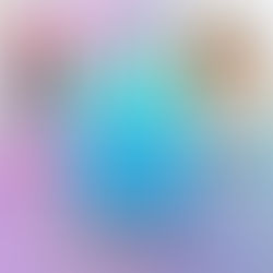 Never Give Up. Follow Your Heart. Live Your Dreams.