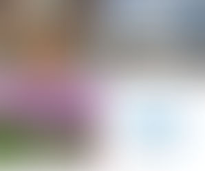 Best You Daily Inspiration and Journal Prompt - Embrace Your Space