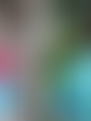 Four Decades of Donors: A Texas Family’s Transplant Journey Through the Years Then. Now. Always.