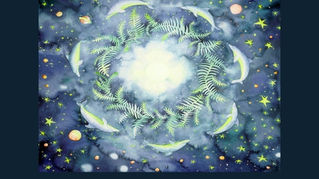 Listening Like Dolphins: How “Super Pod” Invites Peace Through Sound