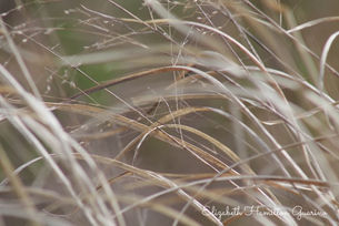 Life with the Zoom Lens on - Let's Focus on Self-Discipline