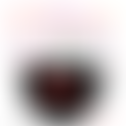 Life with the Zoom Lens On - Let's Focus on All We Can Be