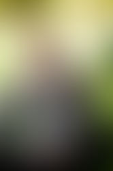 How To Know What is True For You