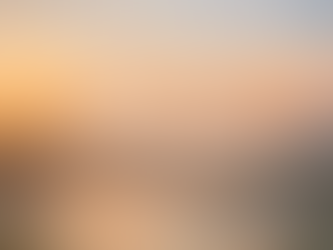 If You’ve Been Feeling Overwhelmed, This Is For You