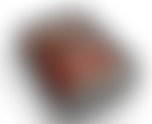 Jamy Bechler - The Leadership Playbook