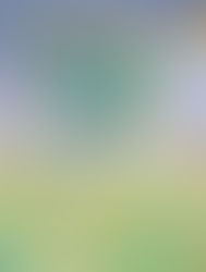 Compassion Is the Heartbeat of Peace: A Call to Begin Within