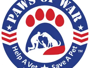 Operation Meeboon: From Barracks to Forever Homes in a Mission of Mercy to Reunite Rescued Cats from Asia with the U.S. Soldiers Who Saved Them