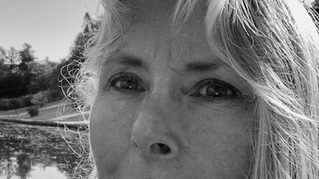 Stories That Shape Us: A Conversation with M. E. Torrey on Fox Creek