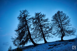 20181031_Tièche_137_1