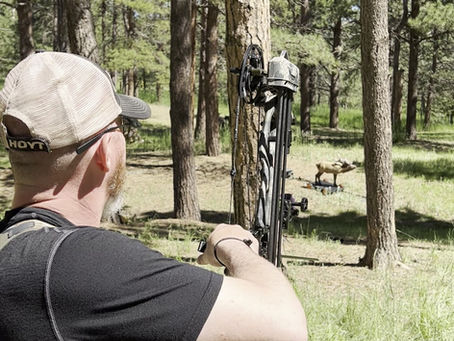 Revolutionizing Archery Ranges: Embracing Moving Targets for Ultimate Skill Enhancement. 🏹🎯🌿🏞️