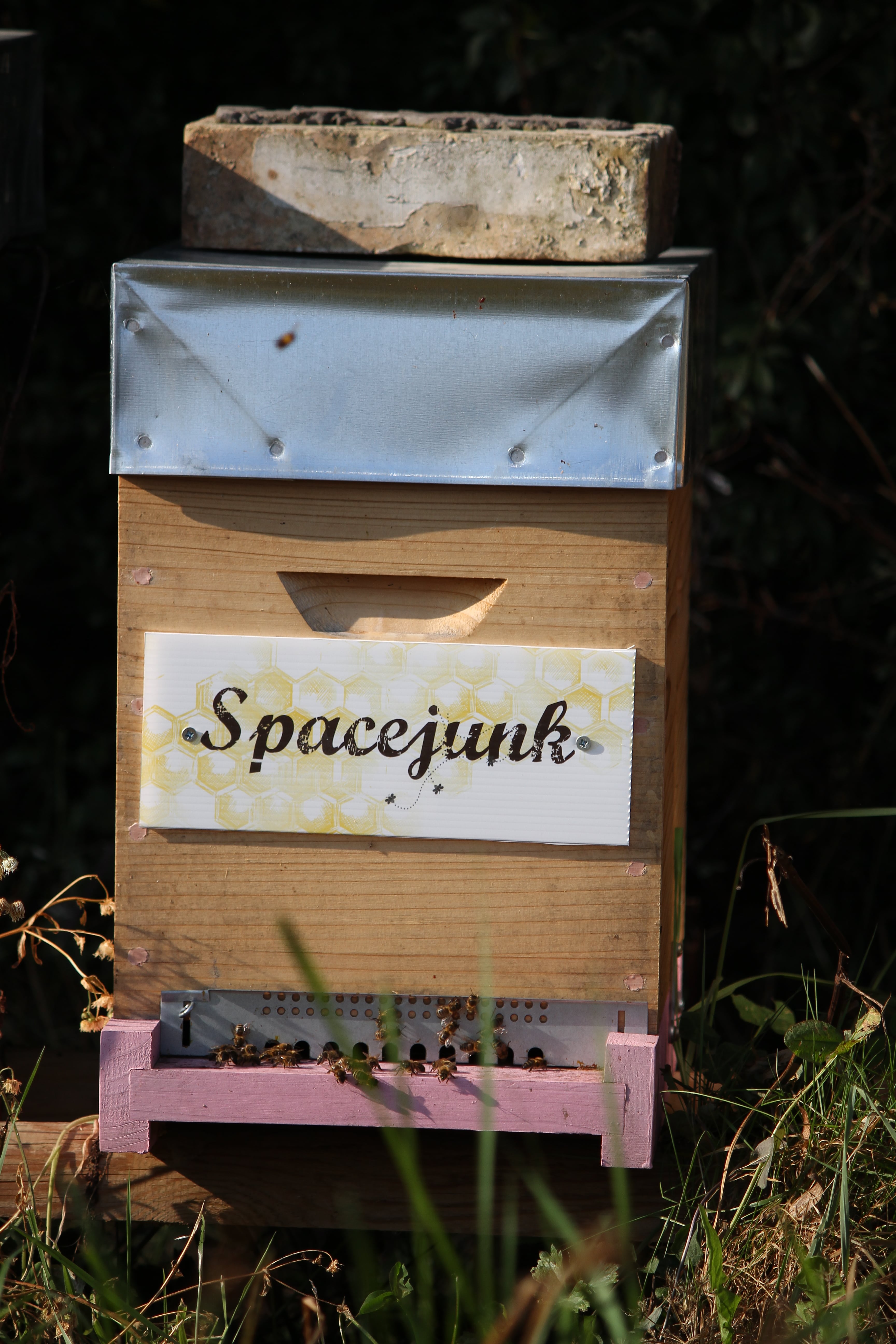Spacejunk