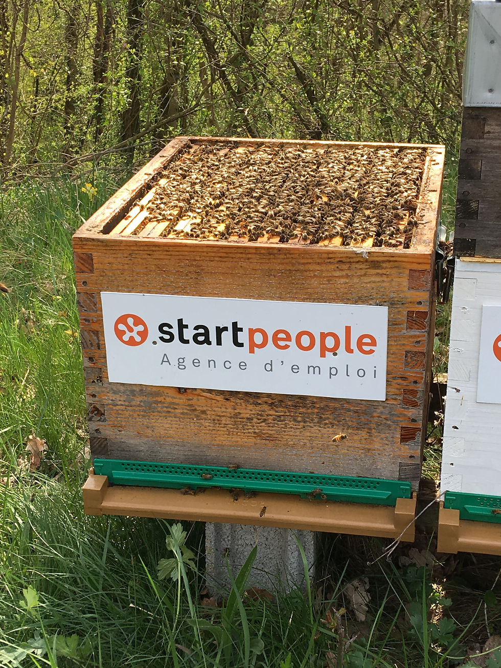 Start people