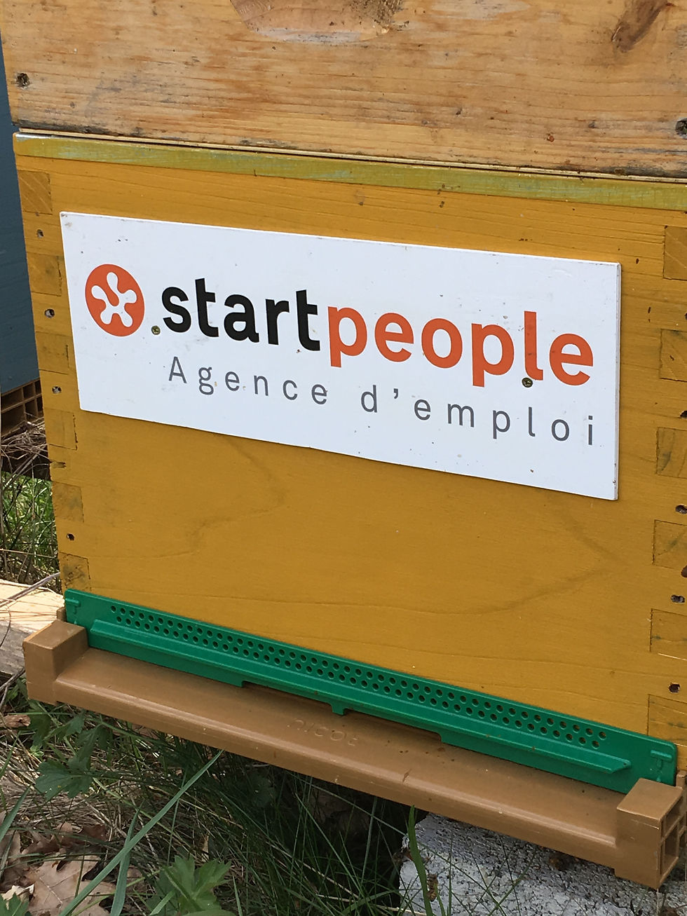 Start people