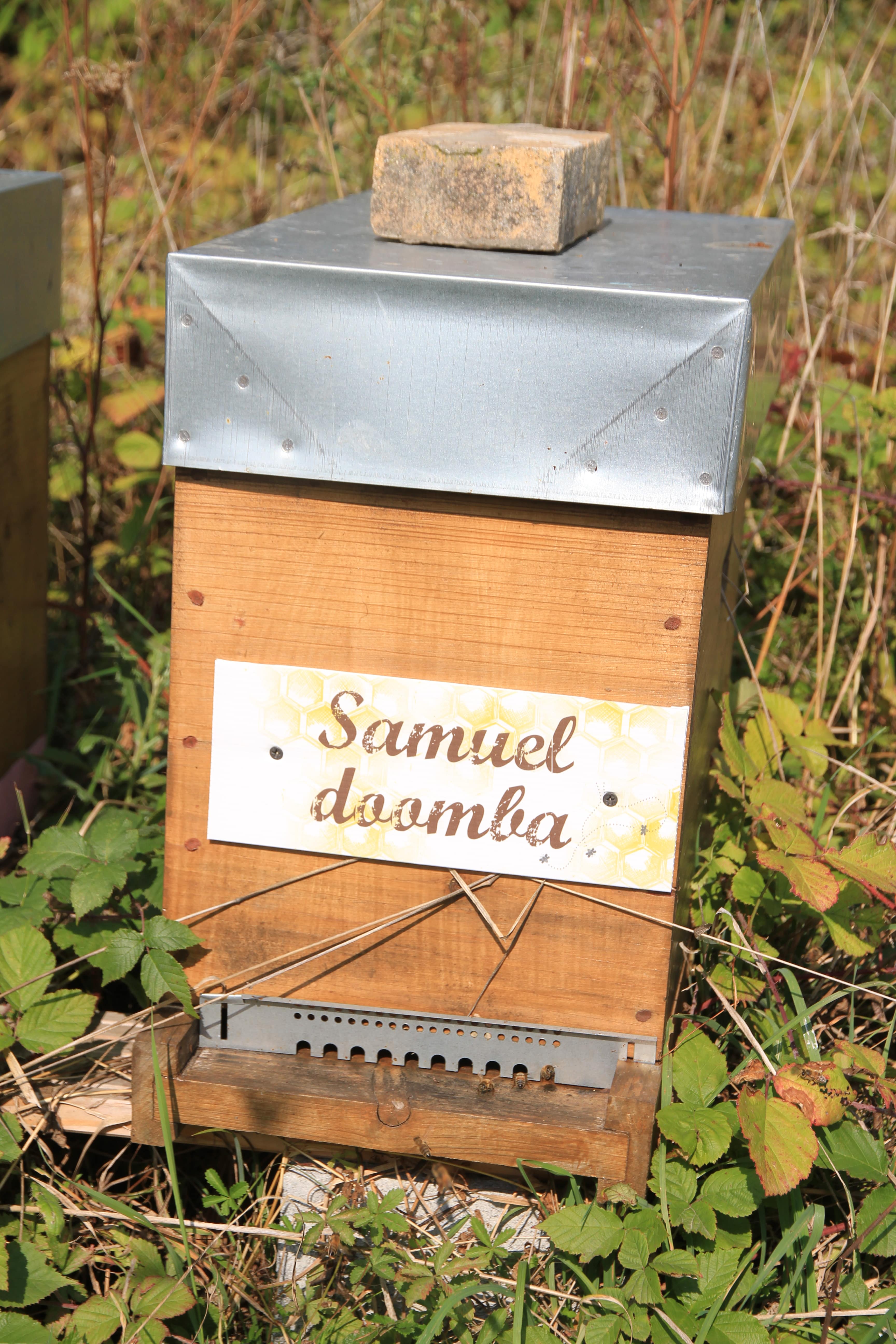 Samuel Doomba