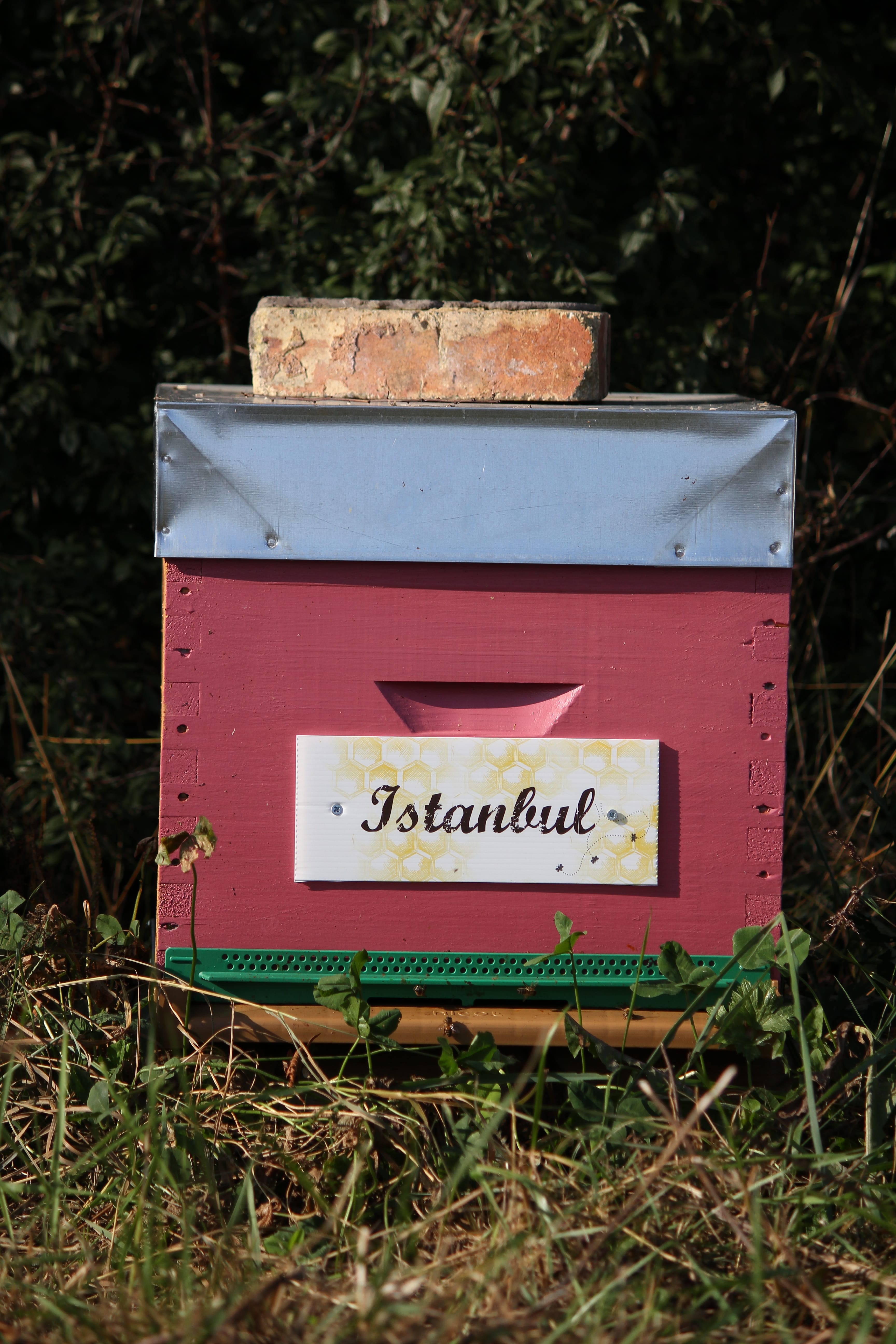 Istanbul