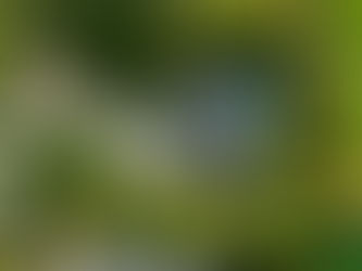 Random Thoughts May 2026