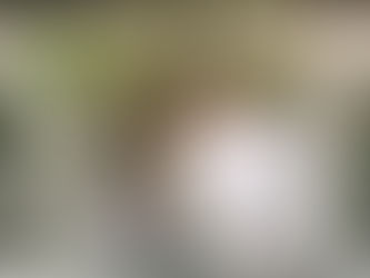 Grandfather, What Did You Do?