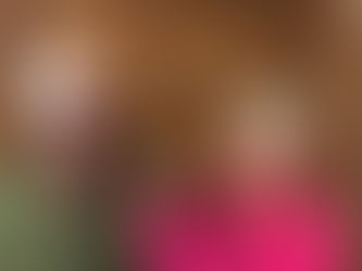 Bittersweet Notes From the Road