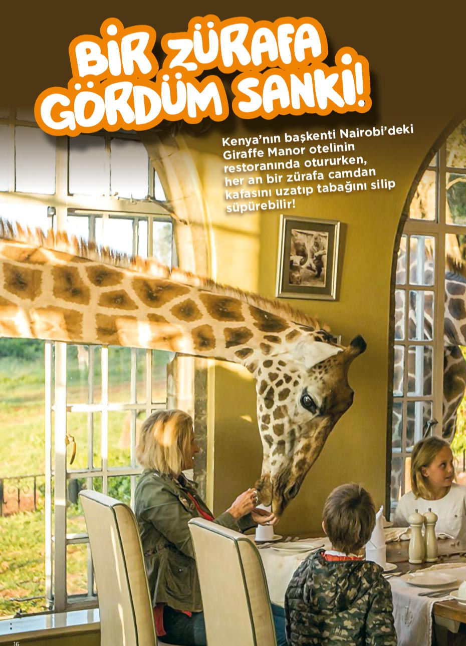 Küçük resim: Süper Penguen Sayı 59