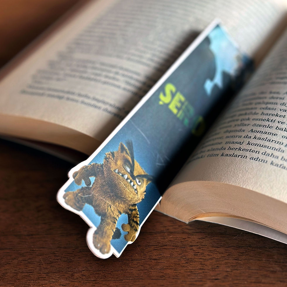 Küçük resim: Kitap Ayracı-Kötü Kedi Şerafettin
