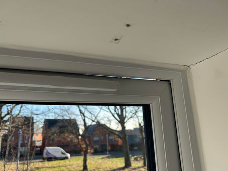 Timber versus uPVC Windows: Real Performance Differences