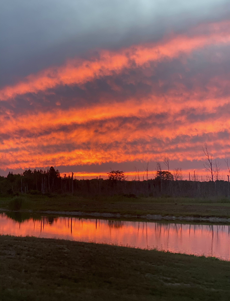 vlcsnap-2022-03-22-13h46m03s118 (2).png