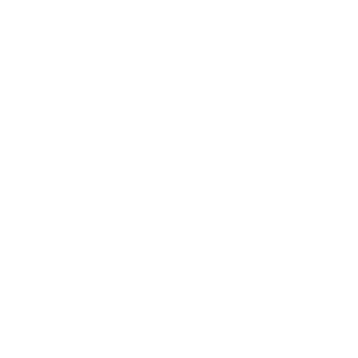 inspection.png