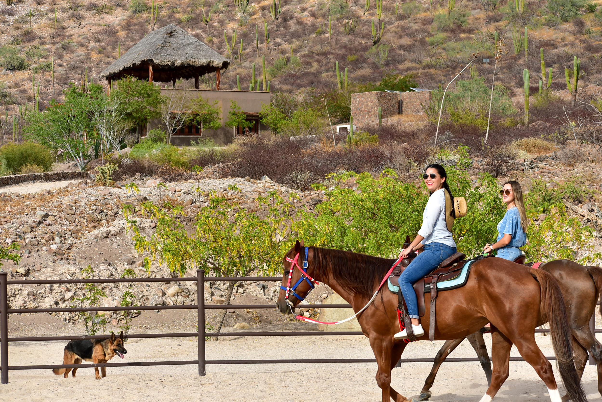 Horseback Riding Rancho San Lorenzo La Paz Mexico Baja California Sur