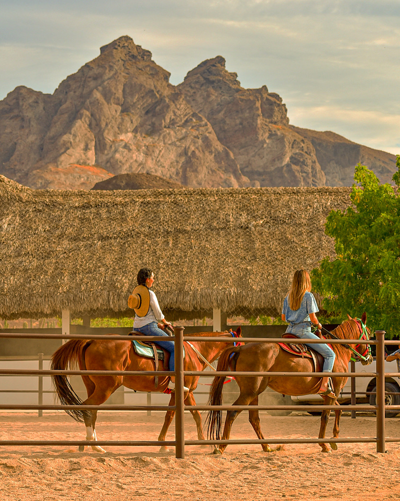 two ladies on brown horses with desert mountain backdrop