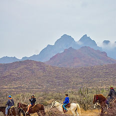 Horseback riding to the beach in La Paz Baja California Sur at Rancho San Lorenzo, a natural sanctuary. Horseback riding, horse life in baja, horse back riding in baja, horseback riding to the beach in La Paz Mexico, Rancho San Lorenzo, Equestrian life in baja, Baja Sur Horseback riding, riding horses, horse riding, Mexican ranch Rancho San Lorenzo, Tours in La Paz, Horse tours, horseback riding tours in la paz, horse tours in baja, best tours in la paz, best tours in baja, baja excursions, ranch excursions, ranch life at mexican ranch, la paz ranch, the ranch, trip and homes tours, tripandhomes experiences, tripandhomes horseback riding, trip and homes tours.