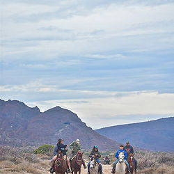 Horseback riding to the beach in La Paz Baja California Sur at Rancho San Lorenzo, a natural sanctuary. Horseback riding, horse life in baja, horse back riding in baja, horseback riding to the beach in La Paz Mexico, Rancho San Lorenzo, Equestrian life in baja, Baja Sur Horseback riding, riding horses, horse riding, Mexican ranch Rancho San Lorenzo, Tours in La Paz, Horse tours, horseback riding tours in la paz, horse tours in baja, best tours in la paz, best tours in baja, baja excursions, ranch excursions, ranch life at mexican ranch, la paz ranch, the ranch, trip and homes tours, tripandhomes experiences, tripandhomes horseback riding, trip and homes tours.