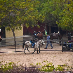 Horseback riding to the beach in La Paz Baja California Sur at Rancho San Lorenzo, a natural sanctuary. Horseback riding, horse life in baja, horse back riding in baja, horseback riding to the beach in La Paz Mexico, Rancho San Lorenzo, Equestrian life in baja, Baja Sur Horseback riding, riding horses, horse riding, Mexican ranch Rancho San Lorenzo, Tours in La Paz, Horse tours, horseback riding tours in la paz, horse tours in baja, best tours in la paz, best tours in baja, baja excursions, ranch excursions, ranch life at mexican ranch, la paz ranch, the ranch, trip and homes tours, tripandhomes experiences, tripandhomes horseback riding, trip and homes tours.