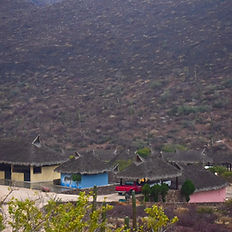 Horseback riding to the beach in La Paz Baja California Sur at Rancho San Lorenzo, a natural sanctuary. Horseback riding, horse life in baja, horse back riding in baja, horseback riding to the beach in La Paz Mexico, Rancho San Lorenzo, Equestrian life in baja, Baja Sur Horseback riding, riding horses, horse riding, Mexican ranch Rancho San Lorenzo, Tours in La Paz, Horse tours, horseback riding tours in la paz, horse tours in baja, best tours in la paz, best tours in baja, baja excursions, ranch excursions, ranch life at mexican ranch, la paz ranch, the ranch, trip and homes tours, tripandhomes experiences, tripandhomes horseback riding, trip and homes tours.