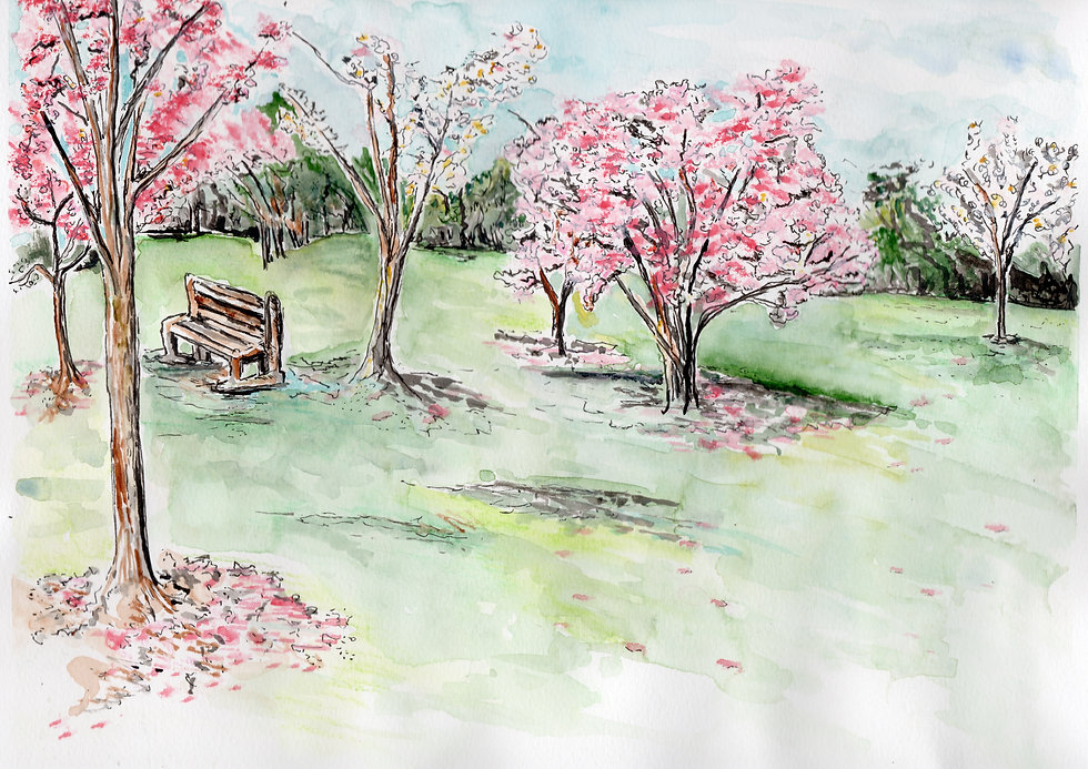 Blooming crabapple.jpeg