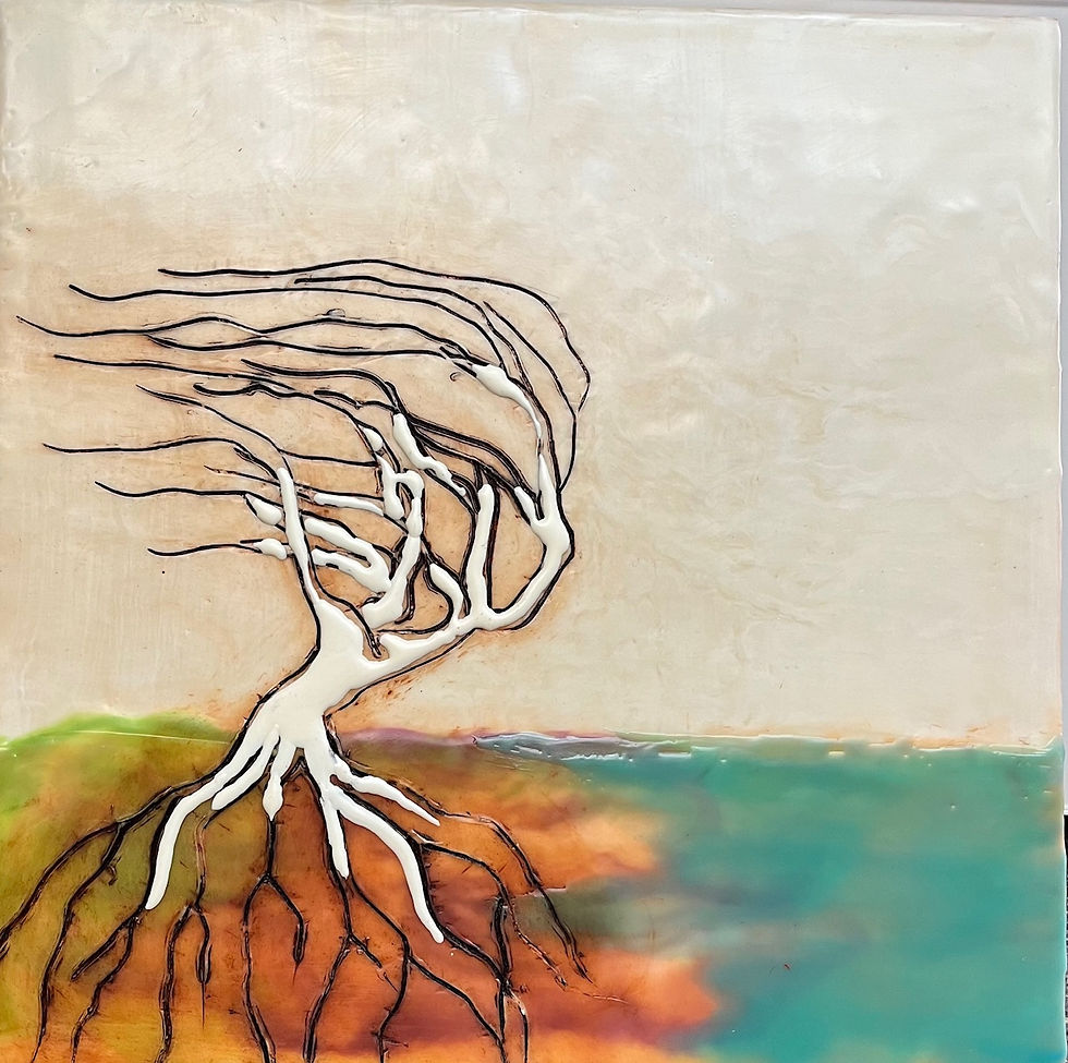 ISLANDER 2 12X12
