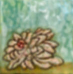 OPALINA Succulent Series