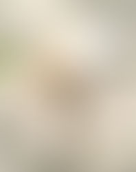 明けましておめでとうございます。日頃のご愛顧への感謝を込めて、新春送料無料ウィーク開催中。（国内のみ）期間：1/7-1/13 プロモコード：TORA2022